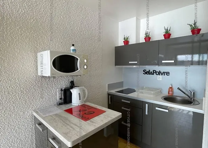 Idéal Couple Avec Vue Sur Le Port De 4che24 Appartement Gruissan
